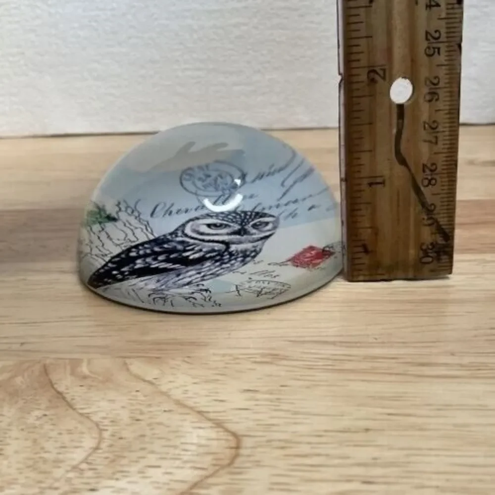 Vintage Art Glass Owl Print Living Wisdom Dome Round‎ Paperweight 1.3